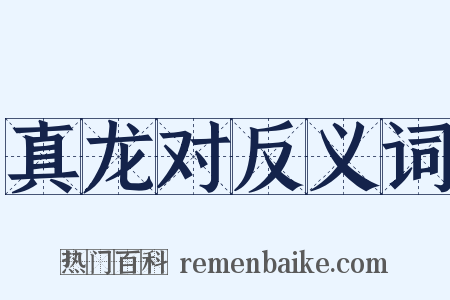 真龙对反义词是什么意思的图片
